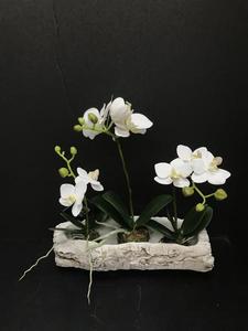 Log with Set of 3 Orchids