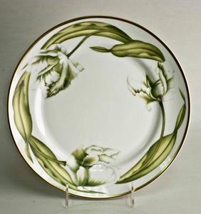 White Tulips ~ Dinner Plate by Anna Weatherley