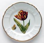 Old Master Tulips ~ Red, Yellow, & Orange Tulip Salad Plate by Anna Weatherley