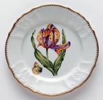 Old Master Tulips ~ Purple & Yellow Tulip Salad Plate by Anna Weatherley