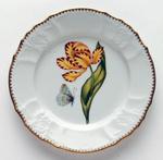 Old Master Tulips ~ Yellow & Red Tulip Salad Plate by Anna Weatherley